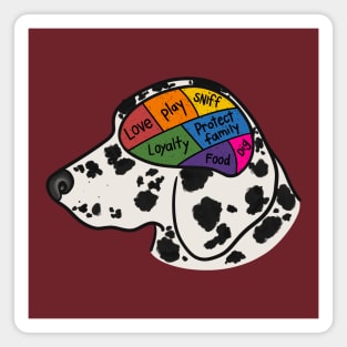 A Dalmatian's Mind Magnet